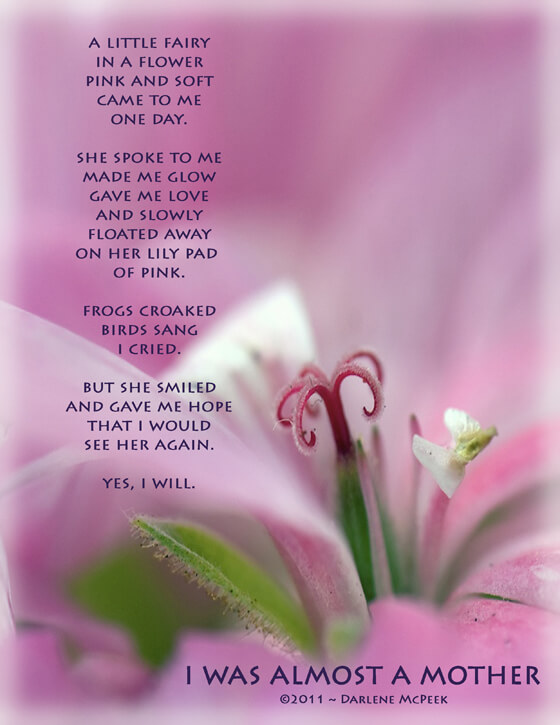 soft pink flower close-up