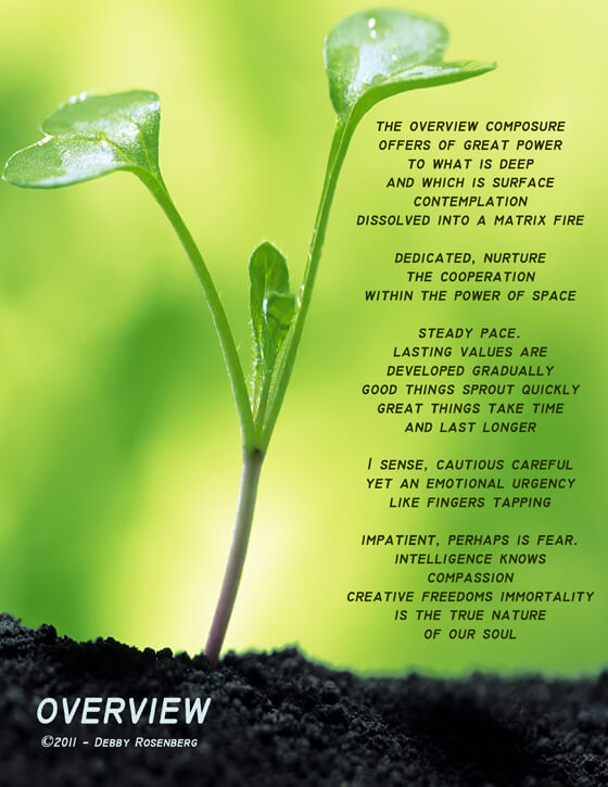 bright new plant shooting up from the soil