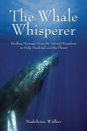 Whale-Whisperer_Madeleine-Walker _OM-Times