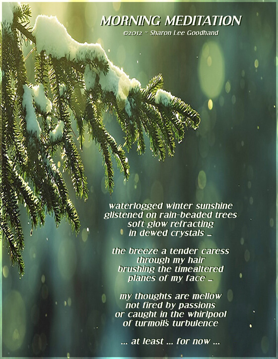 winter, sunshine, trees, caress, time, passion,  Sharon Lee Goodhand