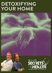 Detoxifying-Your-Home_Gaiam-TV_OMTimes