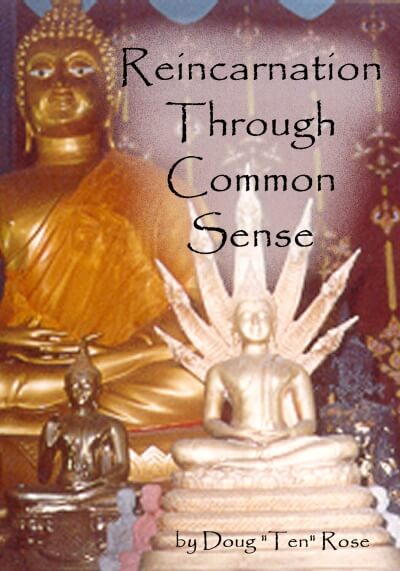 Reincarnation Through Common Sense_ omtimes