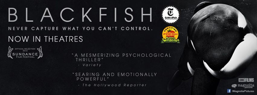 Blackfish_movie_omtimes