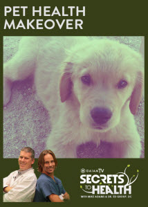 Pet-Health_GaiamTV_OMTimes