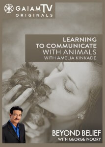 BB-LearnToCommunicateAnimals