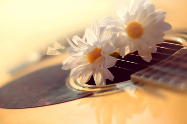 Sound Healing with Flower Essences OMTimes Magazine