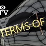 OMTv broadcasting terms of Use