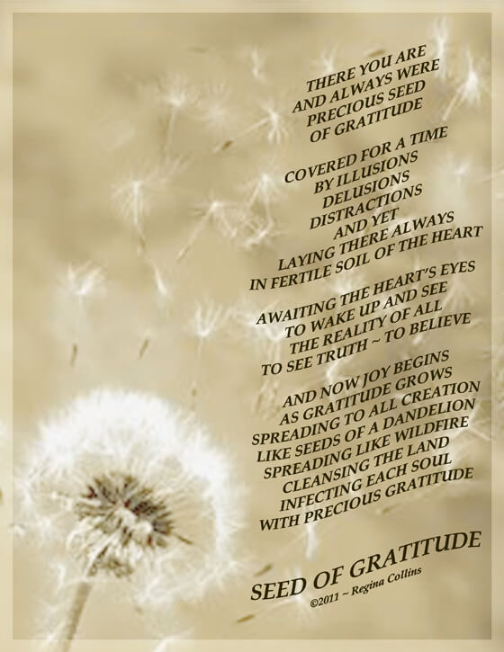 Seed Of Gratitude