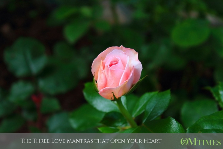 love mantras OMTimes