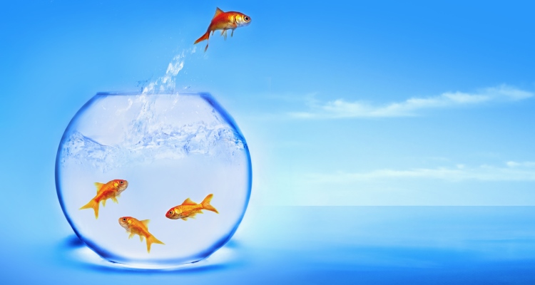 highly-sensitive-person_OMTimes