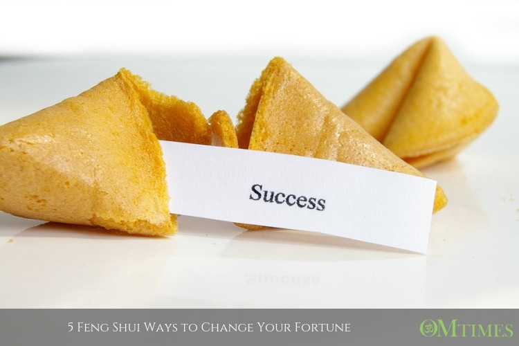 fortune OMTimes