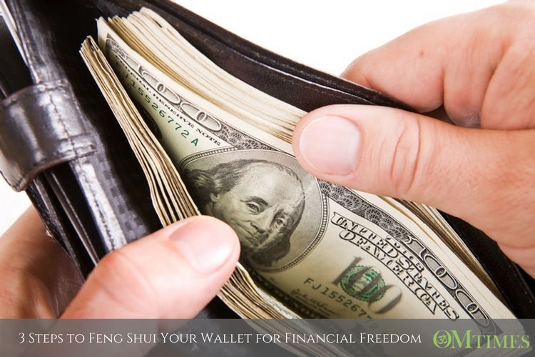 financial freedom OMTimes