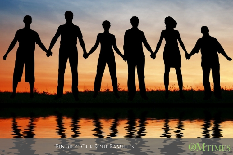 soul families OMTimes