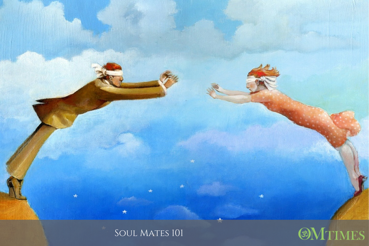 Soul Mates by C.M. Barros