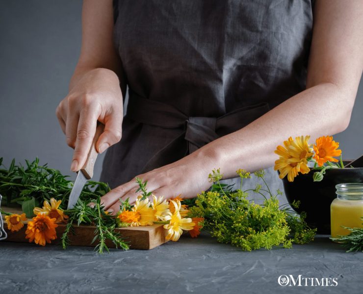 Herbs for Women’s Health OMTimes