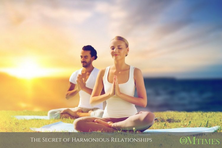 Harmonious Relationships OMTimes
