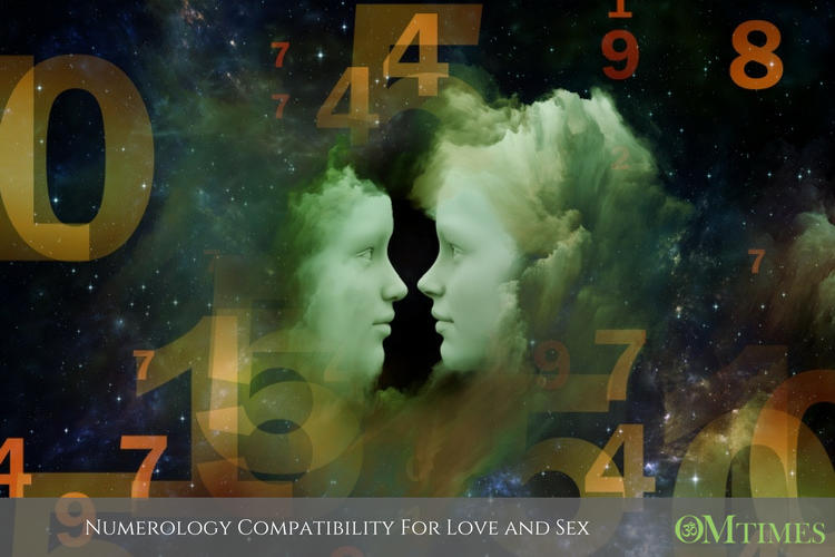 Numerology Compatibility For Love And Sex Omtimes 8387