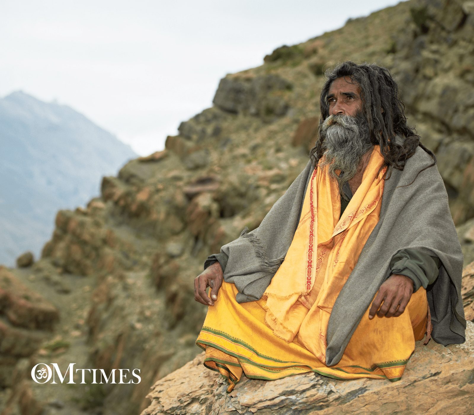 guru OMTimes