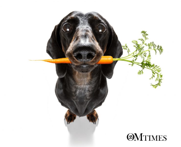 vegan spirituality OMTimes