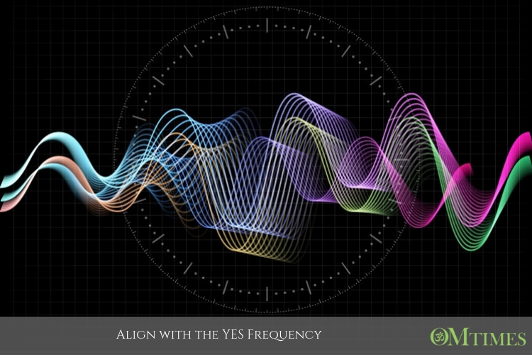 Yes Frequency OMTimes