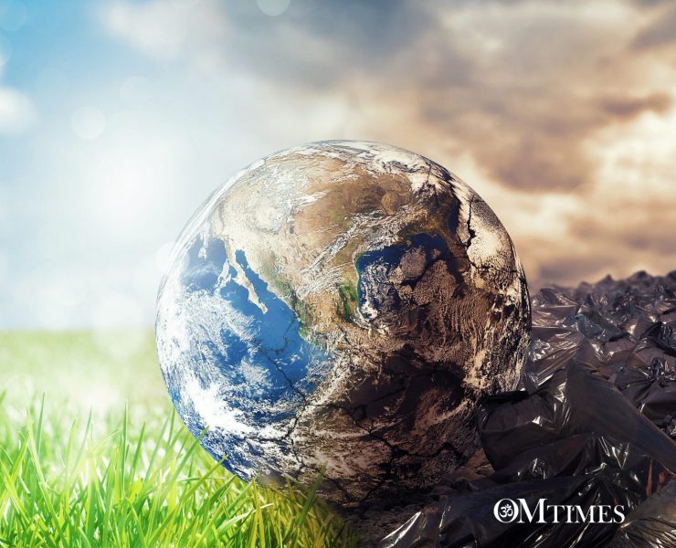 Life on this Planet OMTimes