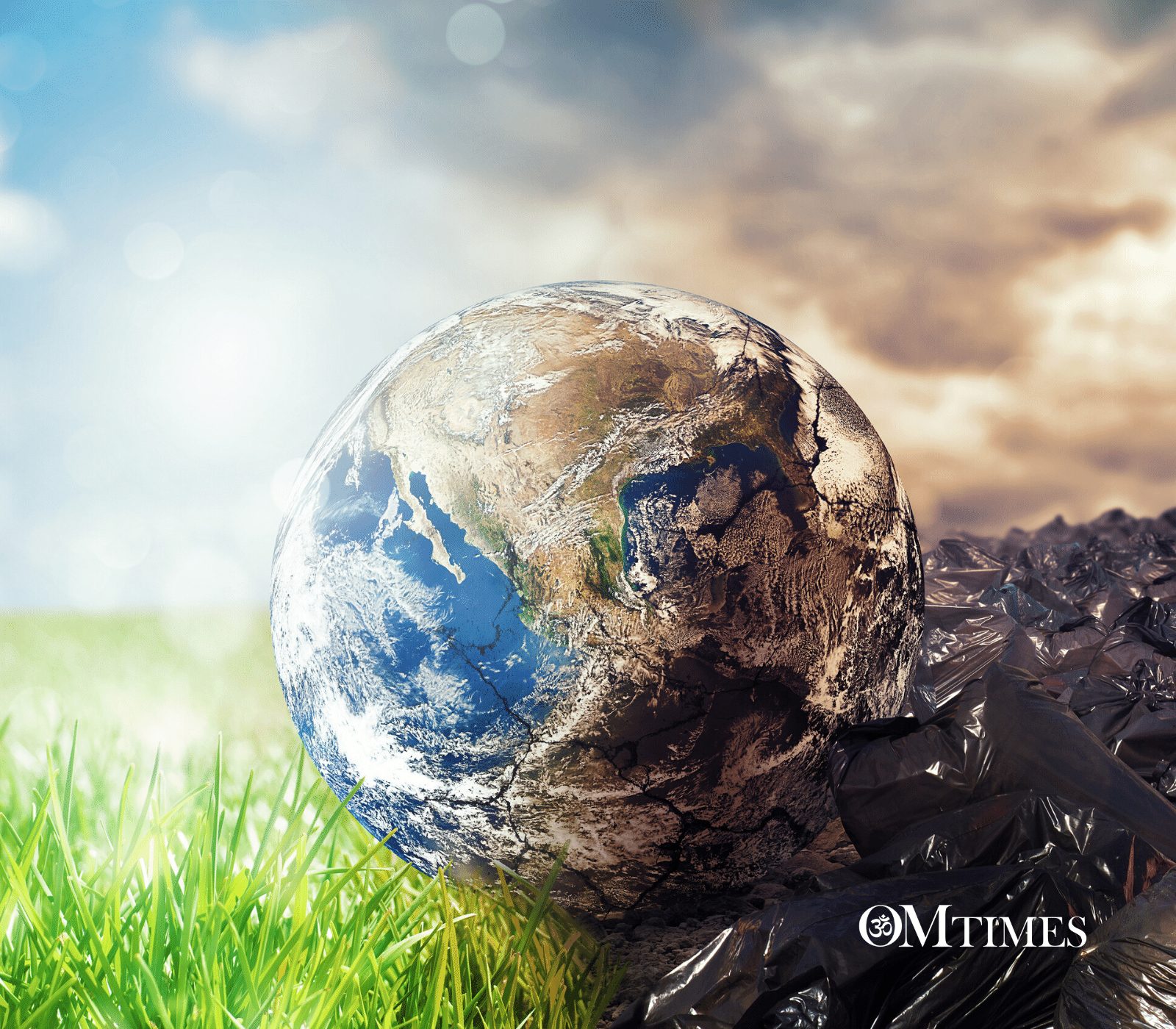 Life on this Planet OMTimes