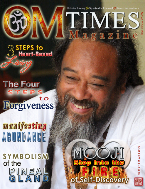 2013 11 B Cover x 640T OM Times - Mooji