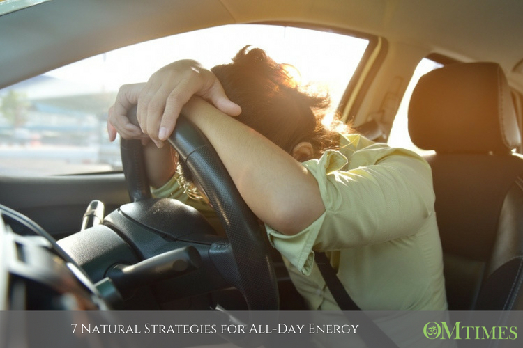 All-Day Energy OMTimes