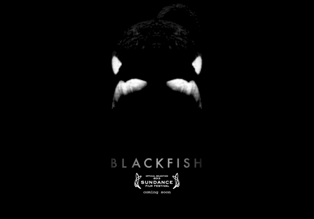 blackfish_omtimes