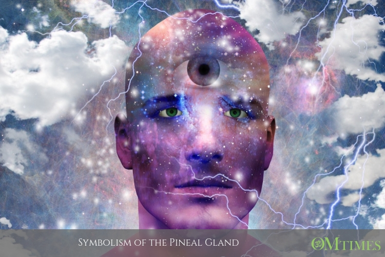 Pineal Gland OMTimes