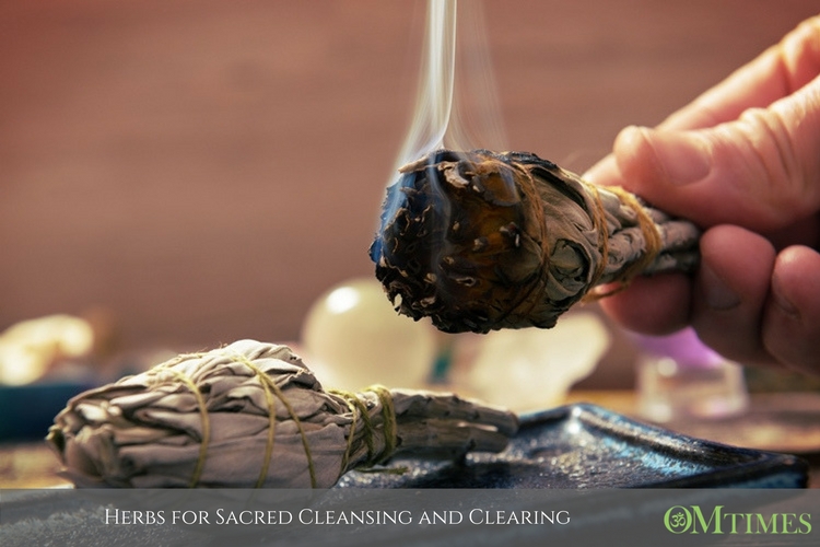 Herbs for Sacred Cleansing and Clearing - OMTimes Magazine