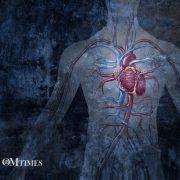 Let Your Body Speak OMTimes