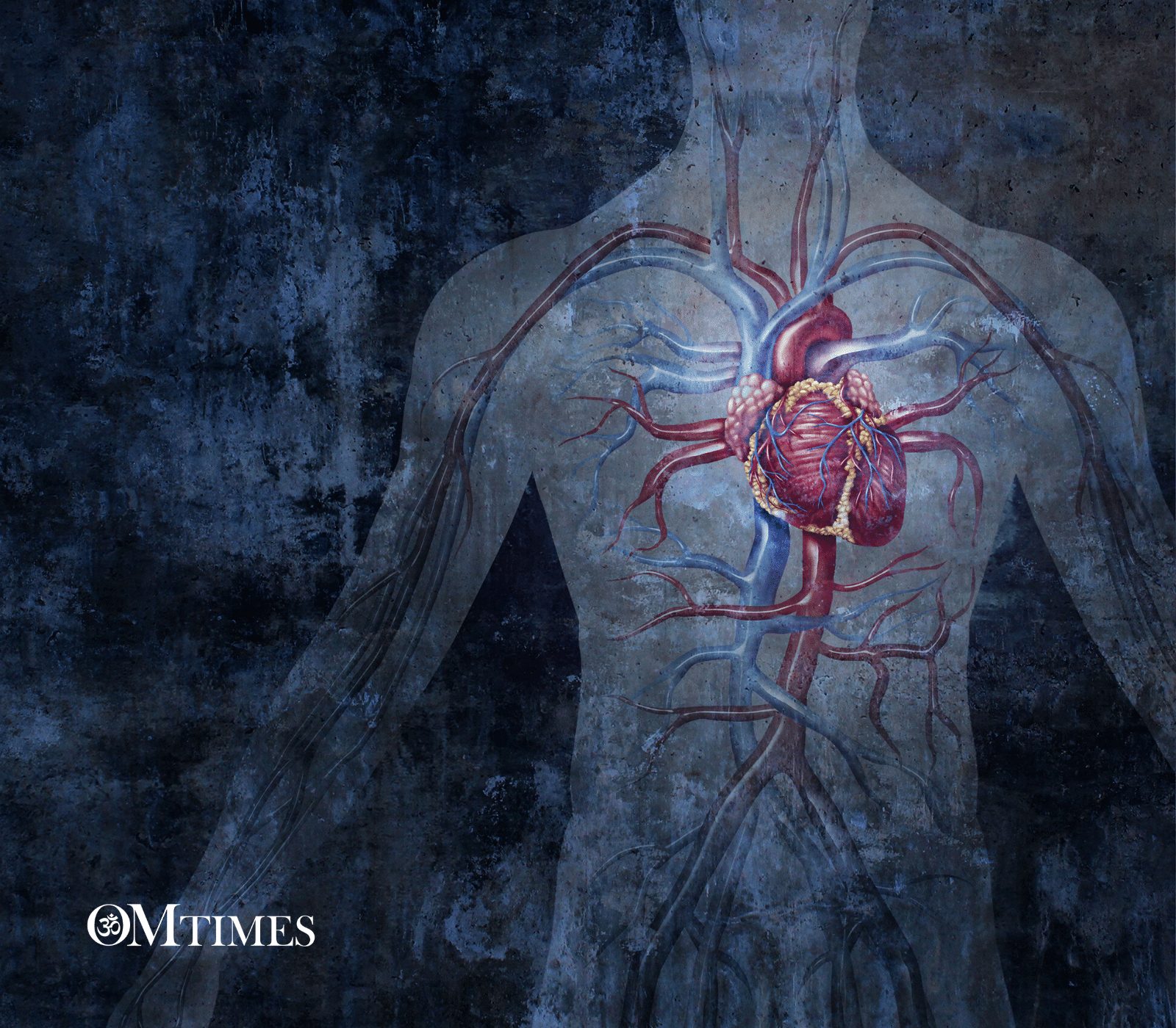 Let Your Body Speak OMTimes