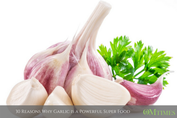 30 Reasons Why Garlic is a Powerful Super Food OMTimes Magazine