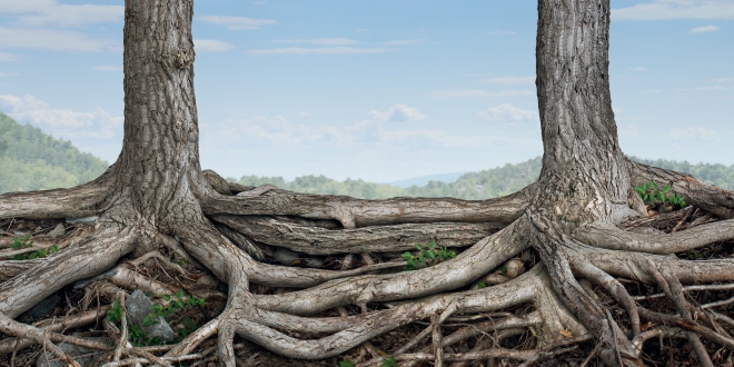 integrity_oracle_OMTimes