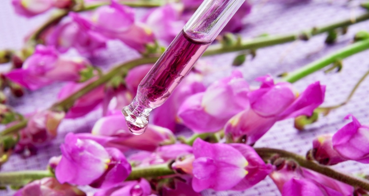 flower-remedies_OMTime