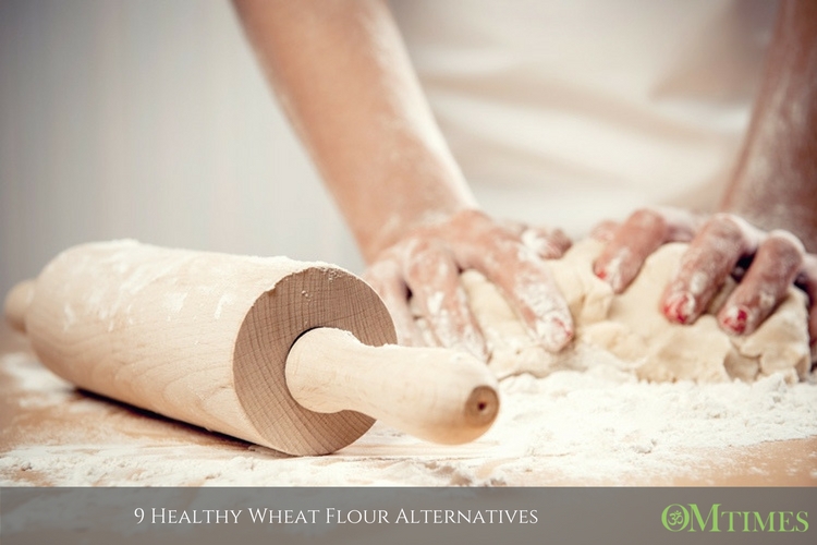 Wheat Flour Alternatives OMTimes