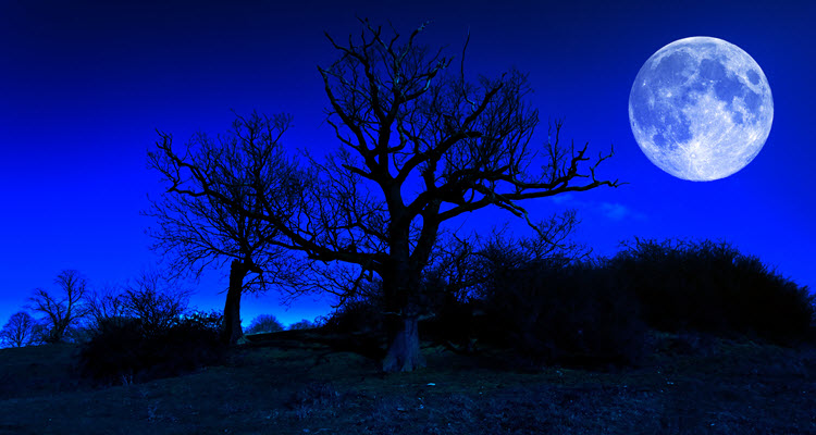 Scorpio-Full-Moon-2014_OMTimes