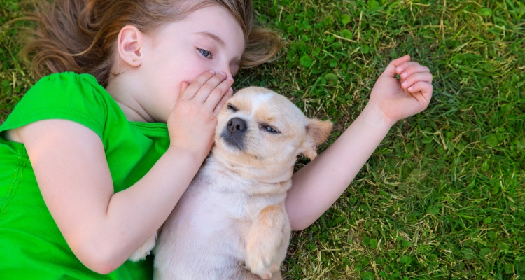 animal-communication_OMTimes