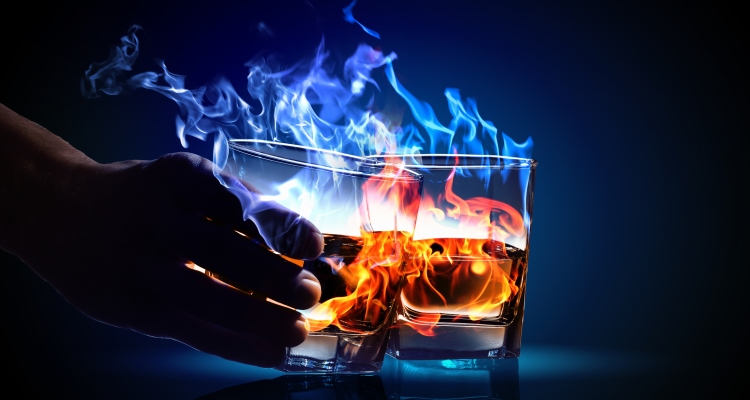 Princess-Leia_OMTimes