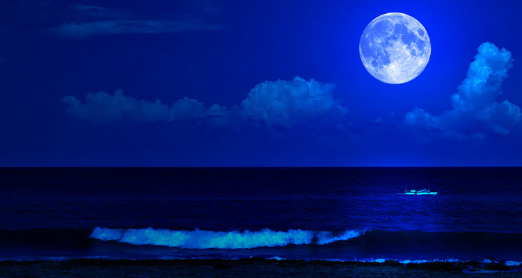 Sagittarius-Full-Moon_OMTimes