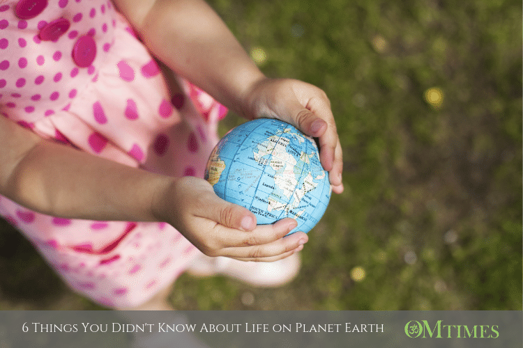 Life on Planet Earth OMTimes