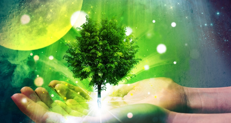 grow-the-garden_OMTimes