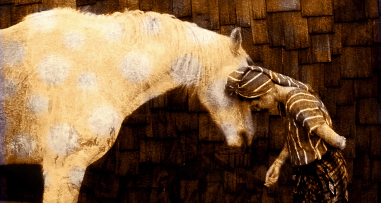 shared-burdens_OMTimes