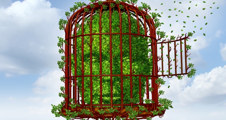 captive_mind_OMTimes