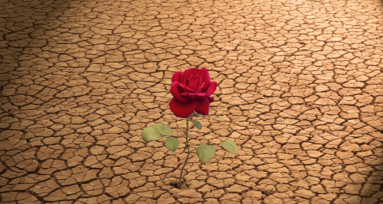 Love-on-the-Other-Side_Arielle-Ford_OMTimes