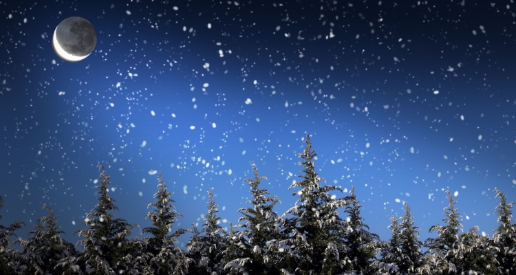 Capricorn-New-Moon_OMTimes