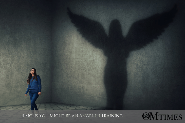 angel in training OMTimes