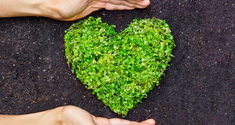 love-will-heal-the-world_OMTimes