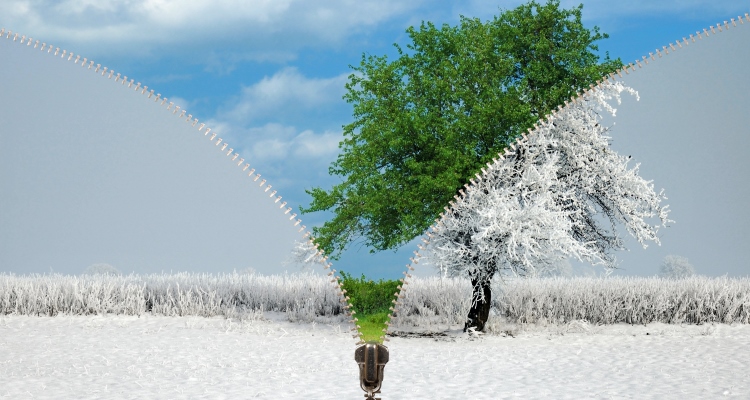 follow-our-dreams_OMTimes